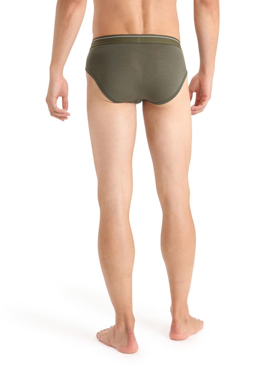 Bielizny Icebreaker Merino Anatomica Briefs Męskie Oliwkowe | PL 1650RVDW